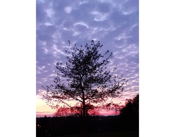 Twilight  Framed Print